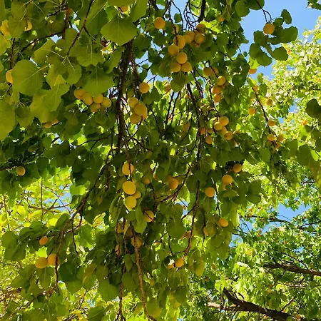 Vila Bozcaada Karsisi Aileye Uygun Muestakil